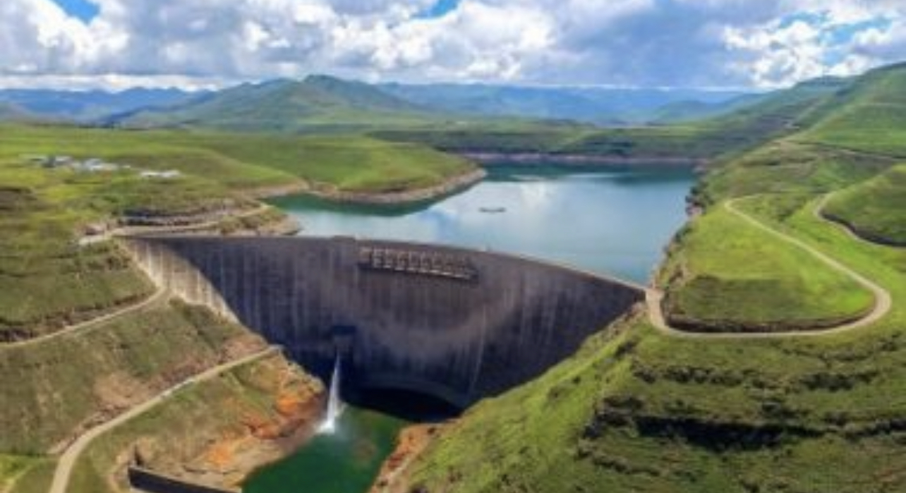 2A2E7BD9-6685-469D-B456-86ECDE005A66