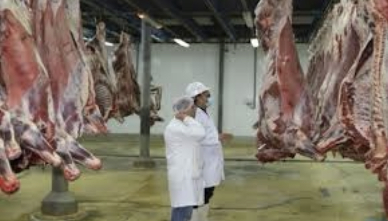 6BBEA384-4960-4FC1-9DE5-7A11FE66AC21