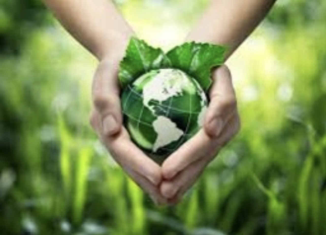 9F36E58D-6D80-4565-9256-B6420921AF48