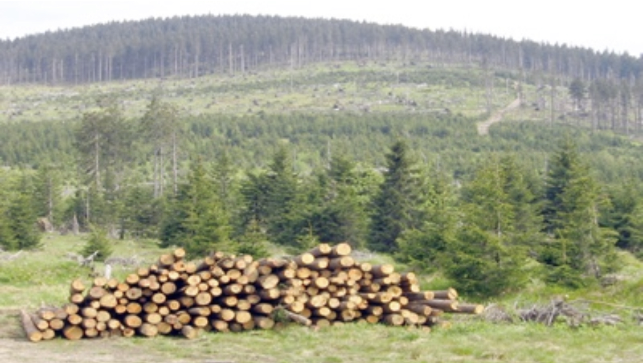 DBC4F963-7329-4333-A3E0-3309CF0110C6