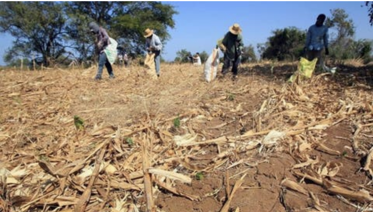 DFAD27FB-51F0-4EEA-A5BB-4906E92E8ECD