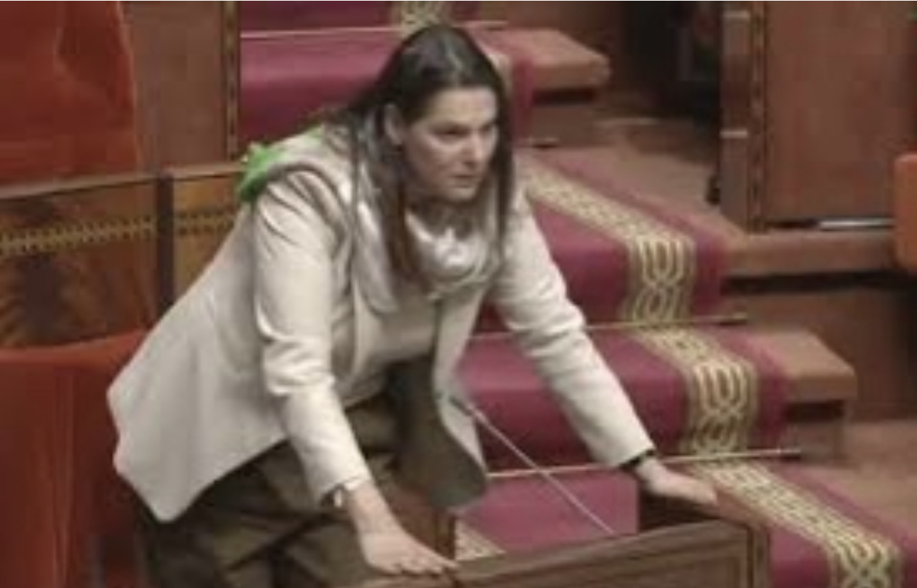 3699B5D8-05D1-49FA-B58B-A7D9B87DCF7B