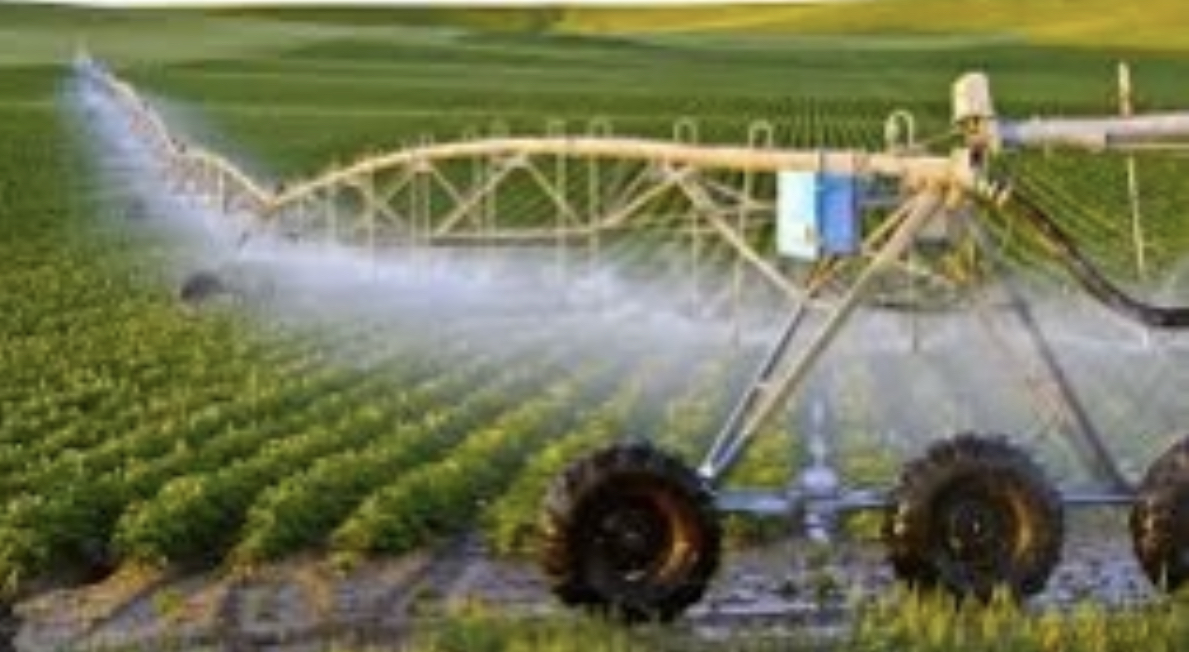 44F6970D-C2B3-4316-B6A2-E1D1336EEC1C