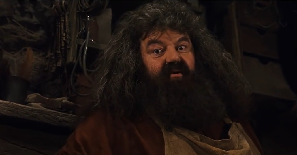 D26BE9E9-B1B6-46A8-8326-F02D160DFA9C