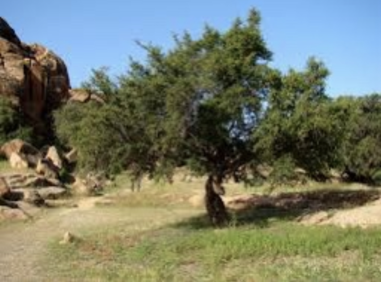 EFF88CA6-41DB-4360-8613-73659E925753