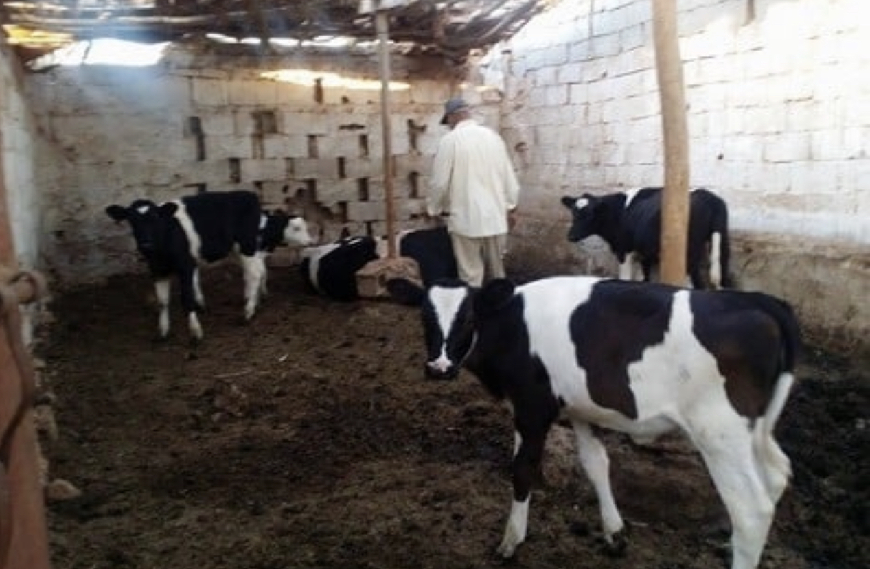 B27C96DE-4E0B-4882-8D45-7827E51E7292